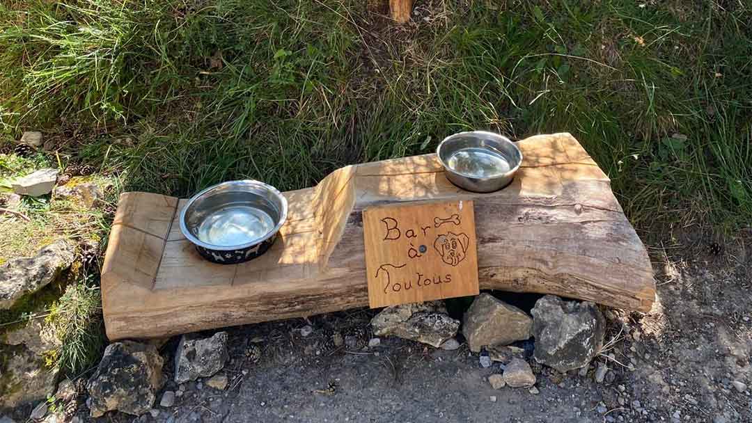 SERVICES-POUR-CHIENS