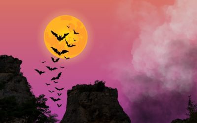 Oserez-vous Halloween 2025 à la Cité de Pierres ?